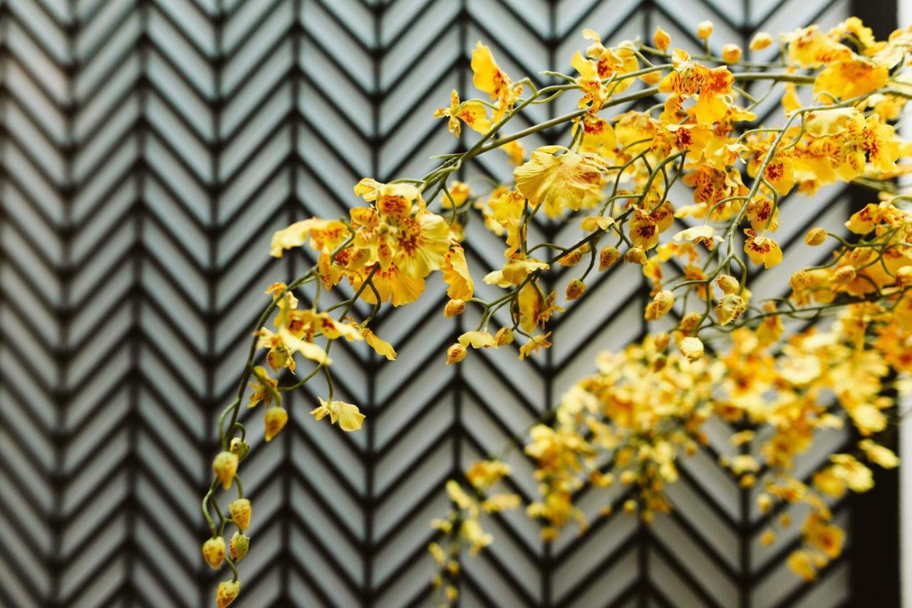 Bed and Breakfast The Harbour - Luxury Living Трані Екстер'єр фото