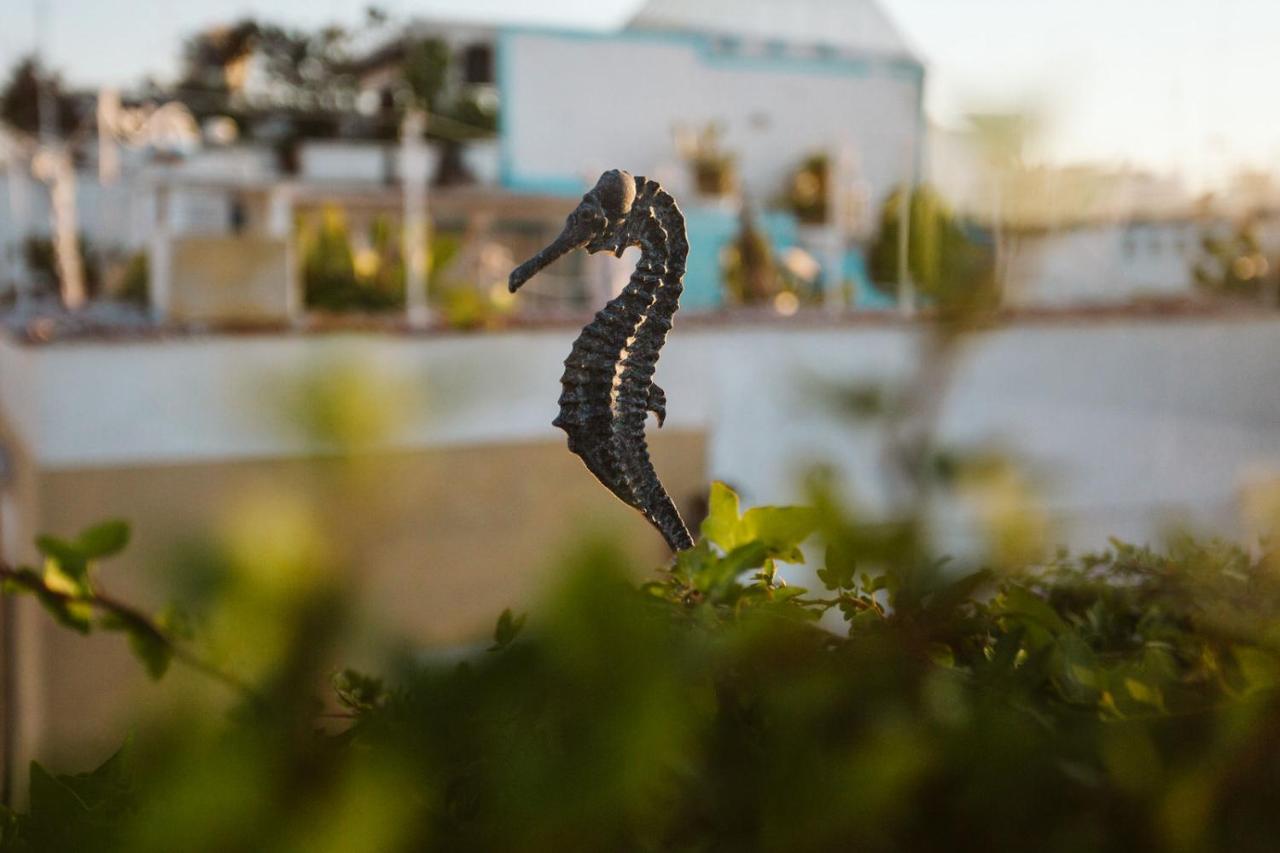 Bed and Breakfast The Harbour - Luxury Living Трані Екстер'єр фото